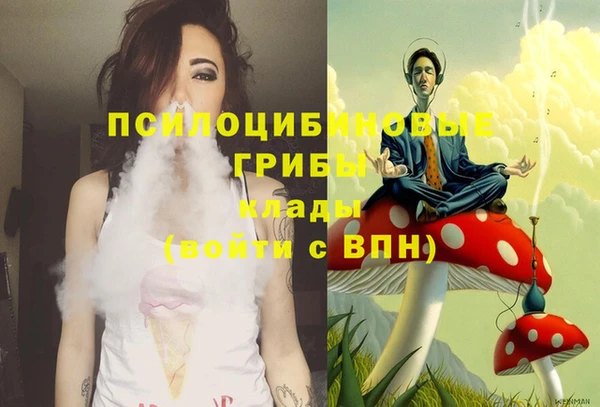ешки Аркадак