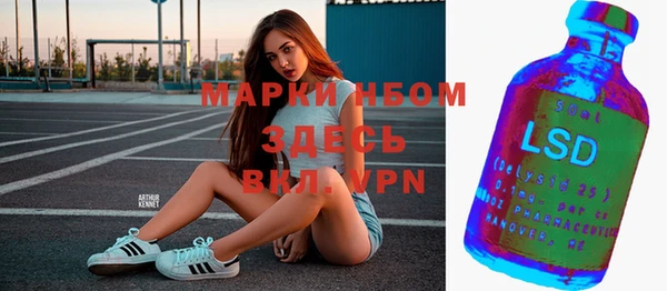 ешки Аркадак