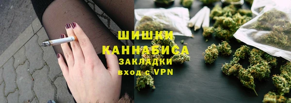 прущие грибы Арсеньев