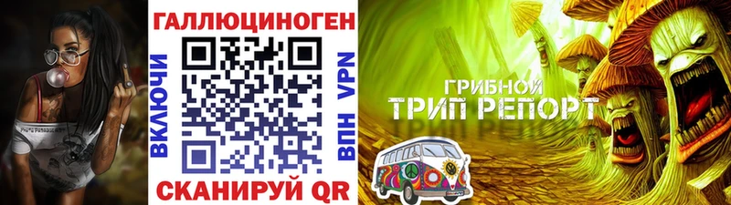 Псилоцибиновые грибы GOLDEN TEACHER  Купить где  Елабуга 
